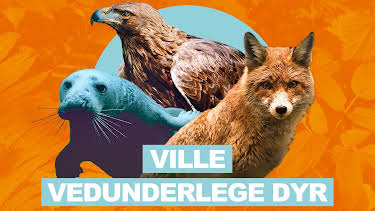 12:25: Ville vedunderlege dyr: Ærfuglane sin andebarnehage | NRK Super | 7/14 2026