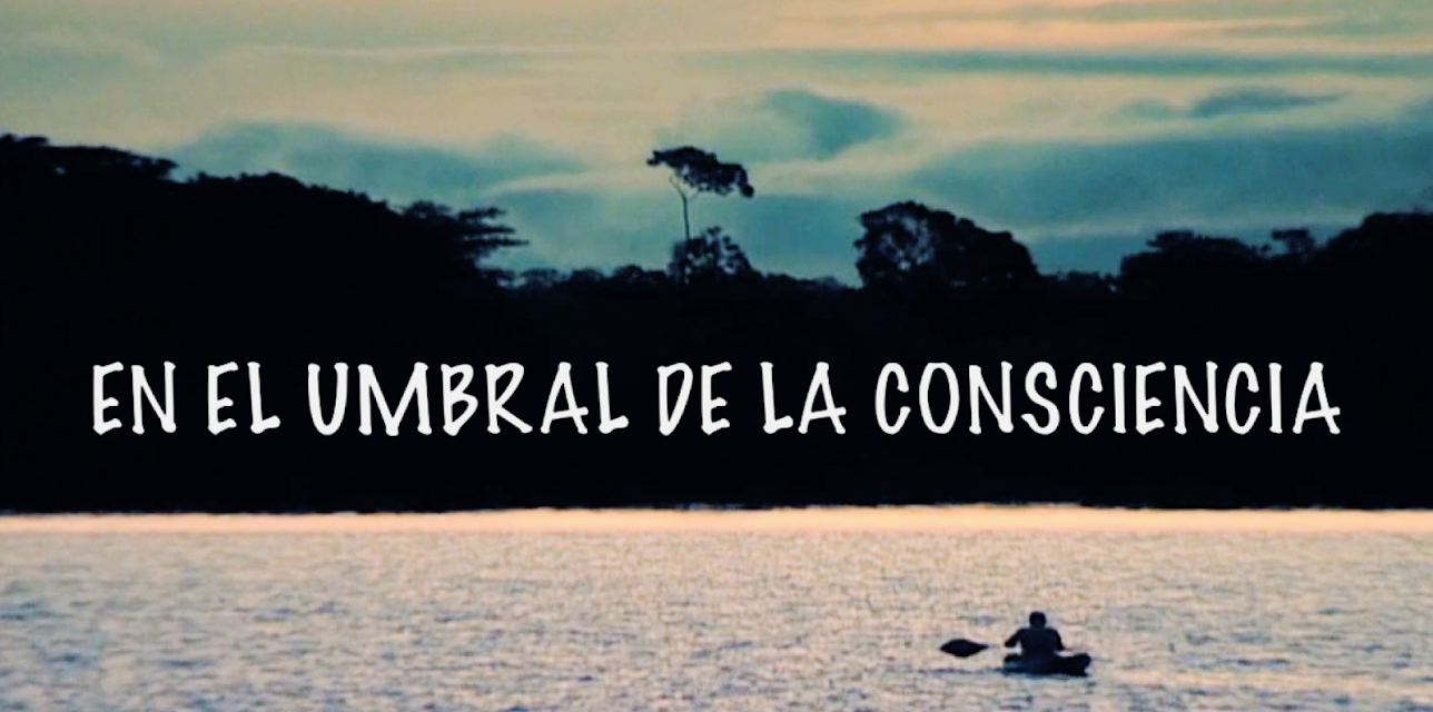 En el umbral de la consciencia (2016)