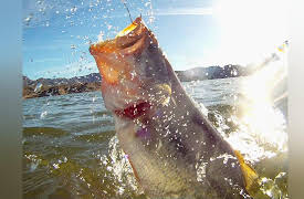 Fishin' with the Good Ol' Boys: Garry Garland fishing Lake Mohave