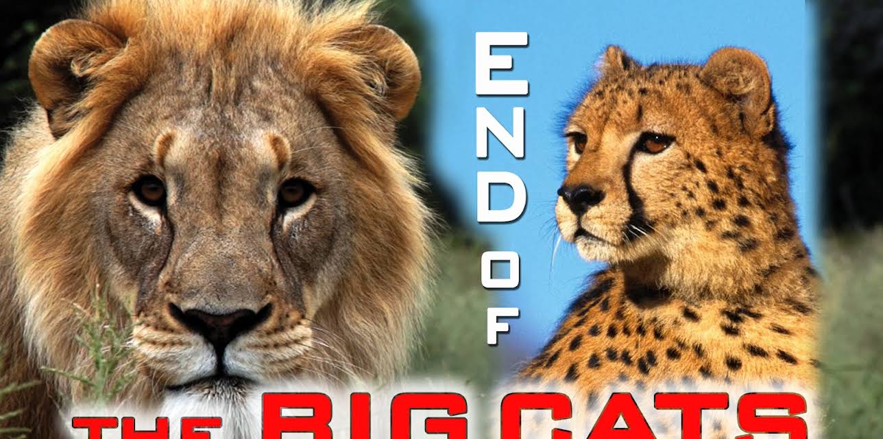 The End Of The Big Cats