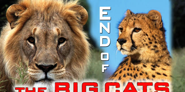 The End Of The Big Cats