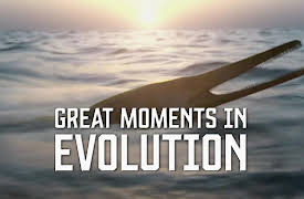 Great Moments in Evolution: Secrets of Survival