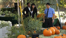 The Mentalist (S3 E8)