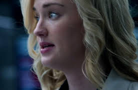 Blindspot: Season 1: Scientist Hollow Fortune