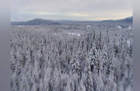 Big History Season 1: Below Zero