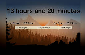 Outdoor Fundamentals: Everything You Need to Know to Stay Safe: Backpacking and Trip Planning