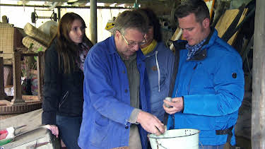 12:55: Der Trödeltrupp - Das Geld liegt im Keller (S16 E29) (S16) | RTL 2 | 6/10 2026
