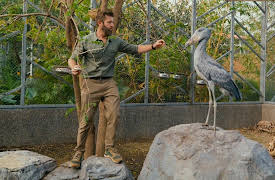 Vantara: Sanctuary Stories, Season 1: From Rescue to Sanctuary