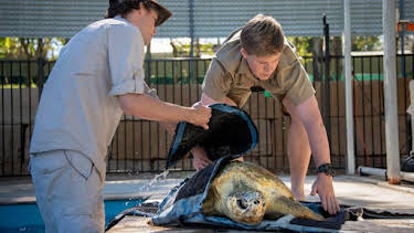 3:00 PM: Crikey! It's the Irwins (S2) | Discovery Channel | 6/26 2026
