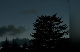 The Hunt Season 1: Ambushed