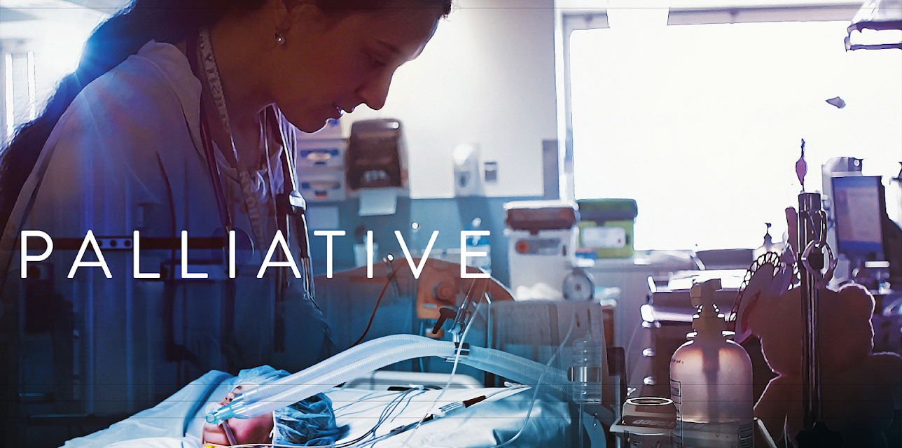 Palliative (2025)