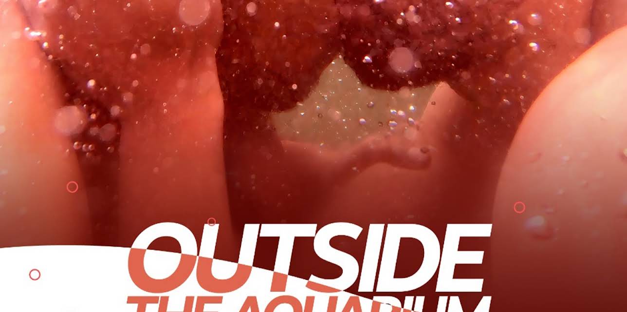 Outside the Aquarium (2021)