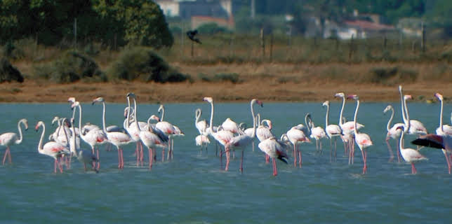 08:55: Inseln Italiens (7/7) | Arte | 3/6 2026