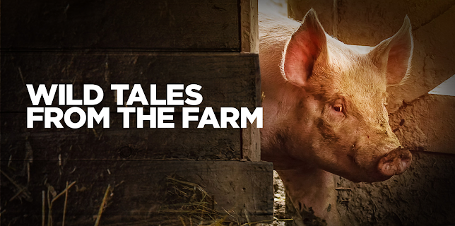 Wild Tales From the Farm Season 1
