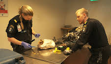 Gränsbevakarna Sverige (S1 E4)