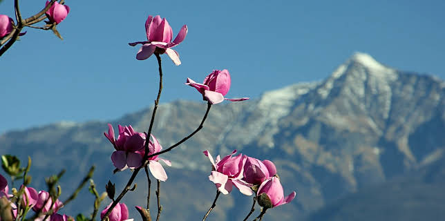15:25: Wunderwelt Schweiz: Das Tessin | 3SAT | 12/11 2025