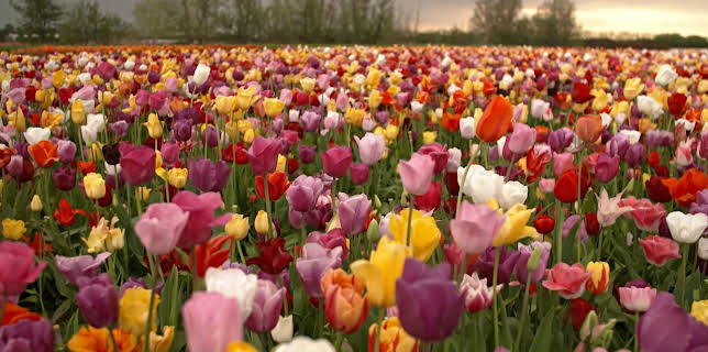 20:15: Wunderschön! | ARD Alpha | 2/18 2026