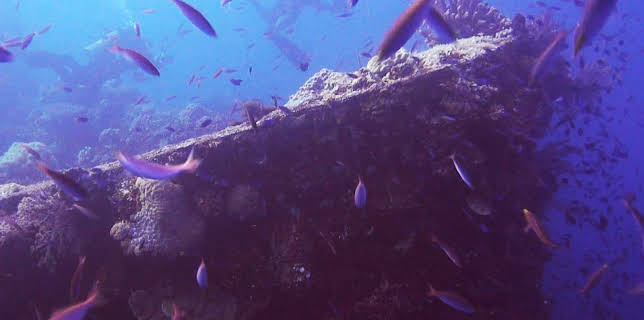 Drain The Ocean: WWII (2016)