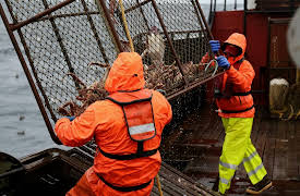 Deadliest Catch Season 10: Women Drivers