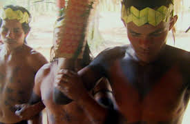 Wildest: Latin America: Amazon: One Jungle, Many Worlds