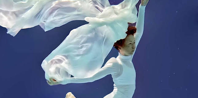 22:05: Svanens sista dans | SVT2 | 11/8 2025