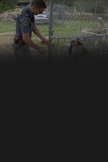 22:00: Seprona en acción: Episodio 8 | Discovery Max | 7/5 2026