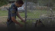 Seprona en acción: Episodio 8