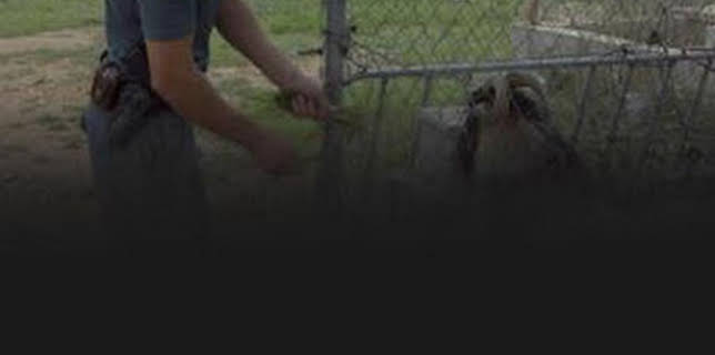 08:36: Seprona en acción: Episodio 8 | Discovery Max | 2/23 2026