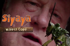 Siyaya - Wildest Cape: Robberg - Learning About Survival