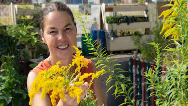 10:25: Garten & Lecker (4/6) | WDR Fernsehen | 9/15 2026
