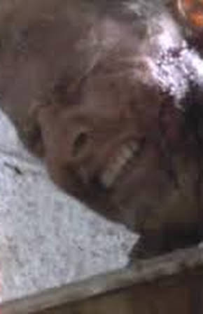 Peter Flemming as Paul