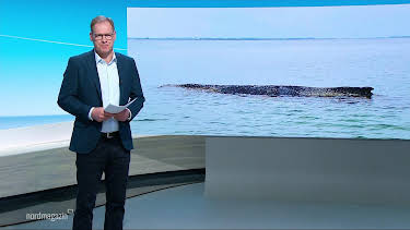 09:00: Nordmagazin | NDR Fernsehen | 3/29 2026