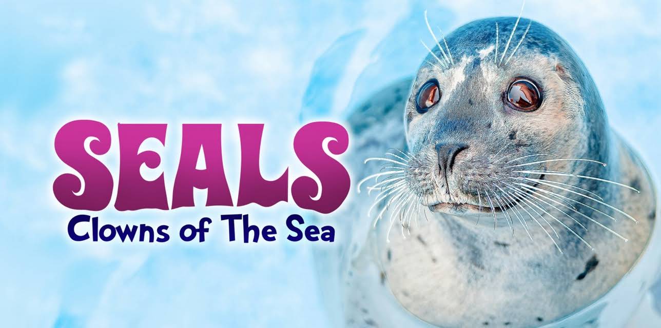 Seals Clowns Of The Sea (2025)
