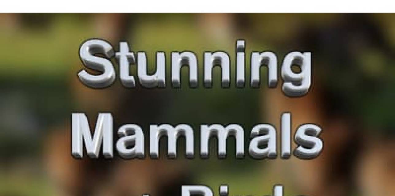 Stunning Mammals and Birds: Australia (2022)