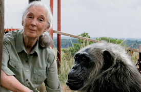 Last Week Tonight with John Oliver: Season 1: Last Week Tonight with John Oliver 22