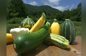 Dining Al Fresco: Zucchini