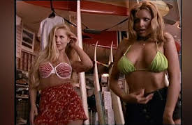 Pacific Blue, Season 1: Heatwave