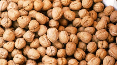 19:10: Vom Ahorn bis zur Zwiebel | ARD Alpha | 4/13 2026