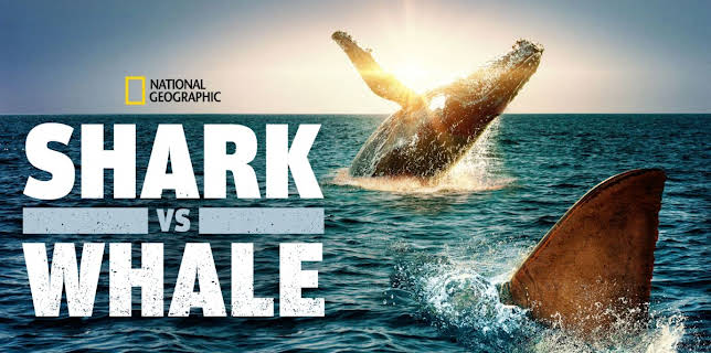 Shark vs. Whale (2020)