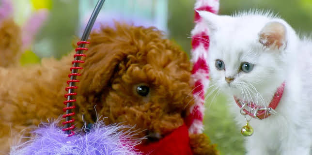 17:20: Rosin og Bolle: Leke en lek | NRK 3 | 2/2 2026