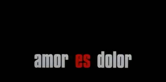 Amores perros (2000)