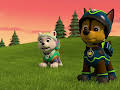 PAW Patrol