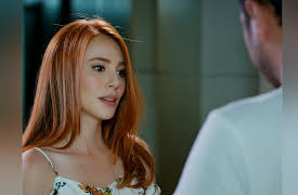 Love for Rent: Episode 19