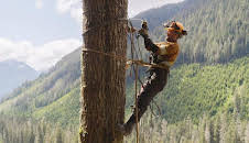 The Last Woodsmen