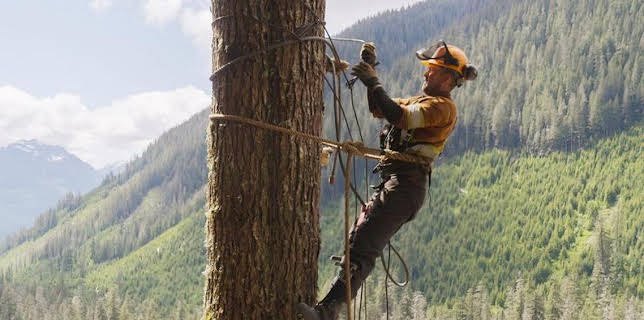 4:00 PM: The Last Woodsmen (S1) | Discovery Channel | 3/14 2026