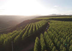 Dokumentation & Reportage