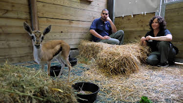 00:00: The Bronx Zoo (S1 E3) (S1) | Animal Planet | 4/13 2026