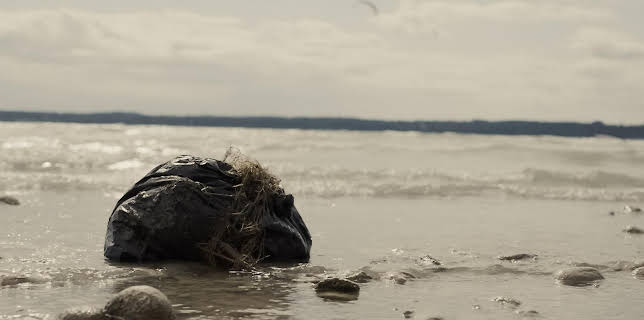 22:20: Mord unter Palmen | Kabel Eins | 1/9 2026