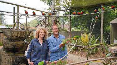 9:30 AM: Animal Park | BBC One | 8/12 2026