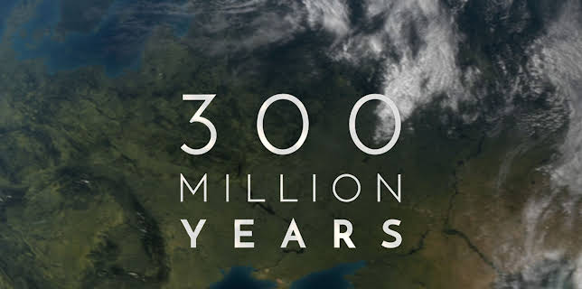 300 Million Years